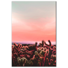 Cactus Sunset - Vertical Wall Art
