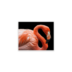 Flamingo - Horizontal Wall Art - 8 x 10 Unframed