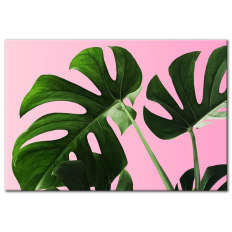 Monstera Palm - Wall Art
