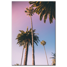 Sunset Palm Trees - Wall Art