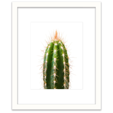 Spiky Cactus - Wall Art