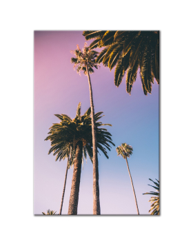 Sunset Palm Trees - Wall Art