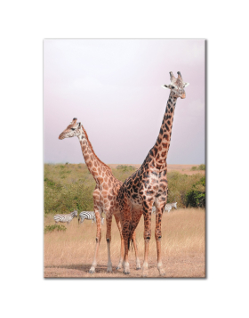 Two Giraffes - Vertical Wall Art