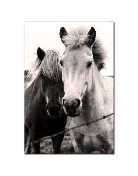Two Horses - Vertical Wall Art