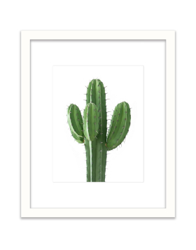 Classic Cactus - Wall Art