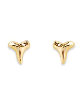 Shark Tooth Studs